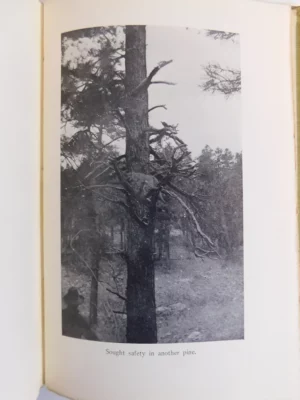 Last of the Plainsmen by Zane Grey 1907 - Rare Manuscript Letter & First Edition